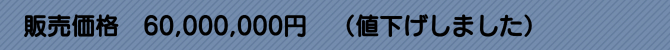 ̔i@60,000,000~@il܂j